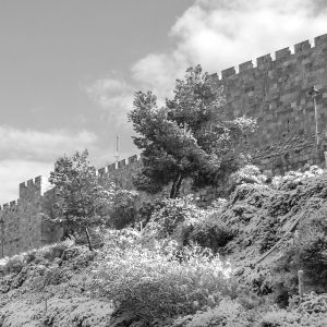 Una vista de las murallas de la ciudad en blanco y negro