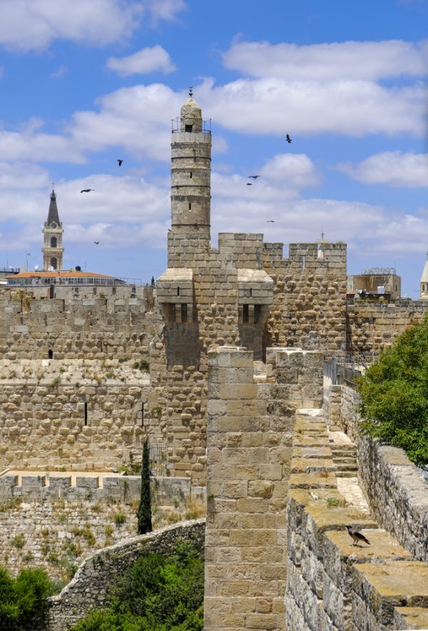 Tower of David and birds